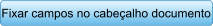 Fixar campos no cabealho documento