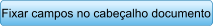 Fixar campos no cabealho documento