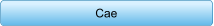 Cae